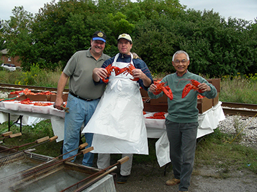 Rotary Lobster Cooks