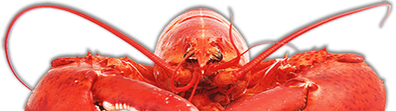 Rotar Guelph Lobsterfest Celebrates 45 Years - big red lobster